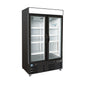 Glass Merchandizer Freezer FA49-G2_1